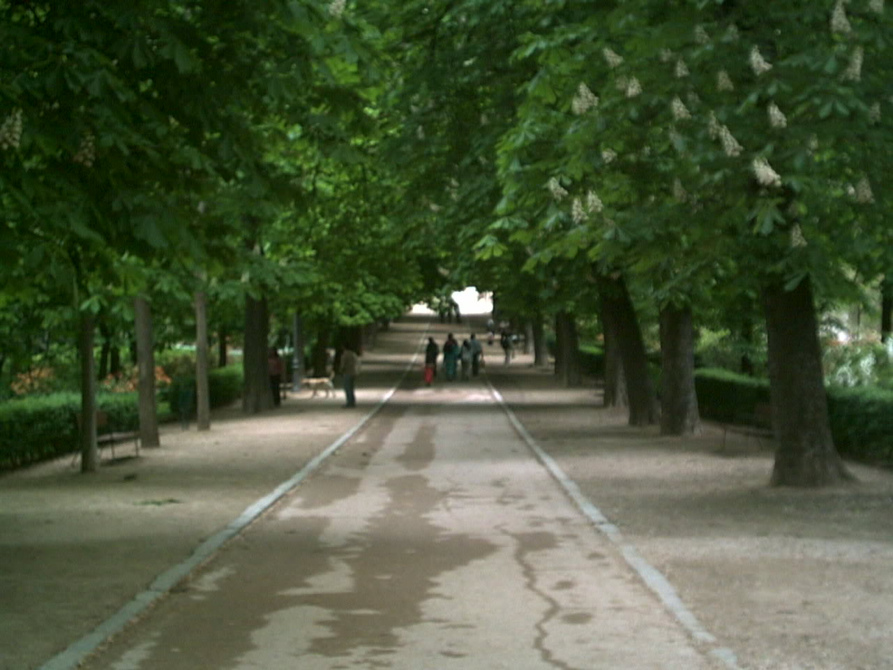 PICT0038.jpg