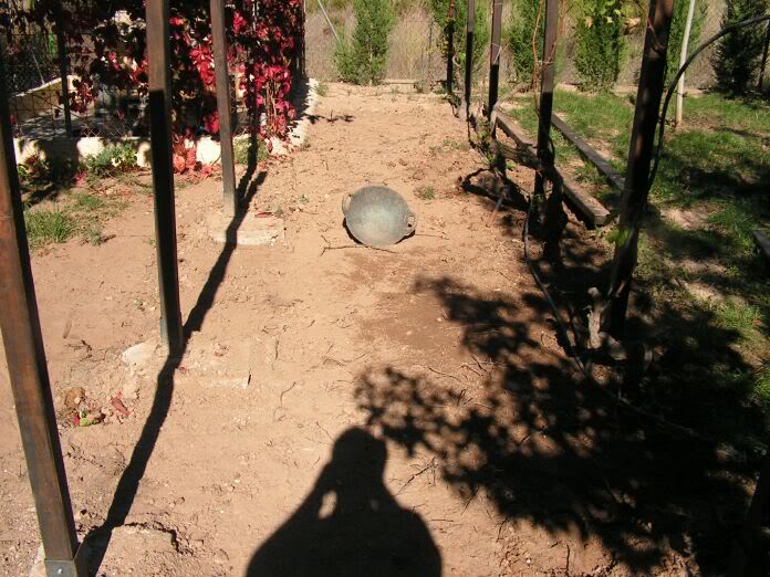 PICT0040.jpg