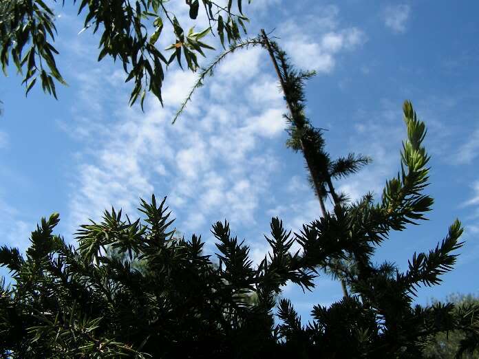 PICT0042.jpg