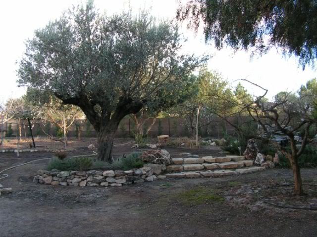 PICT0042.jpg