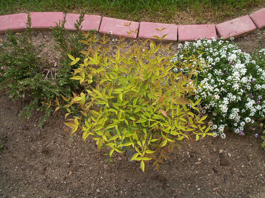 PICT0045.jpg