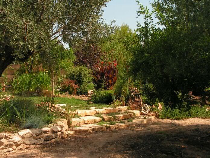 PICT0046.jpg