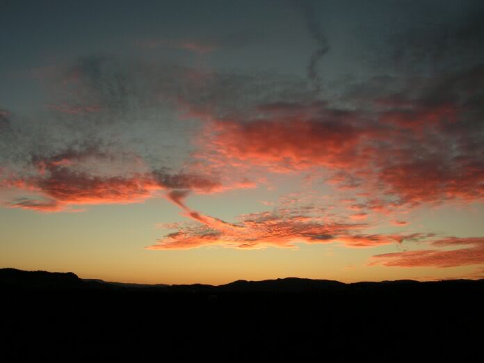 PICT0046.jpg