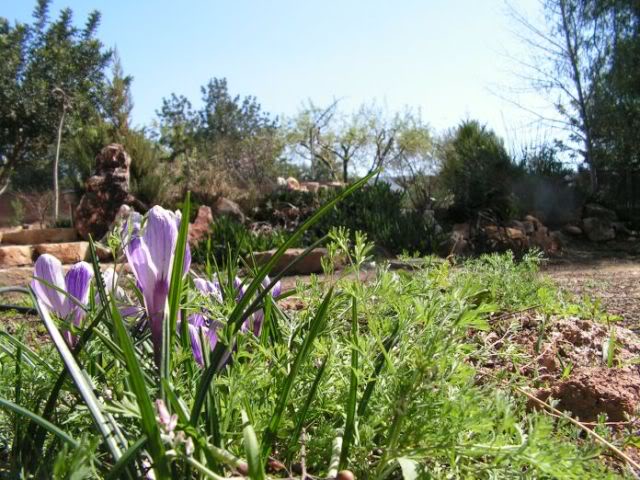 PICT0047.jpg