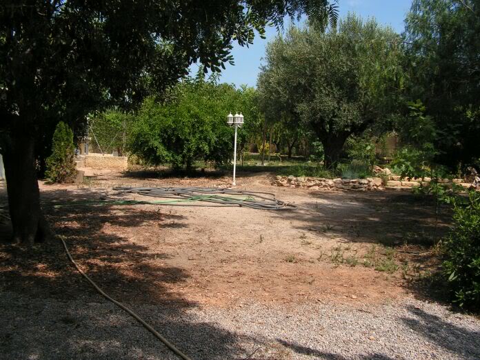 PICT0047.jpg