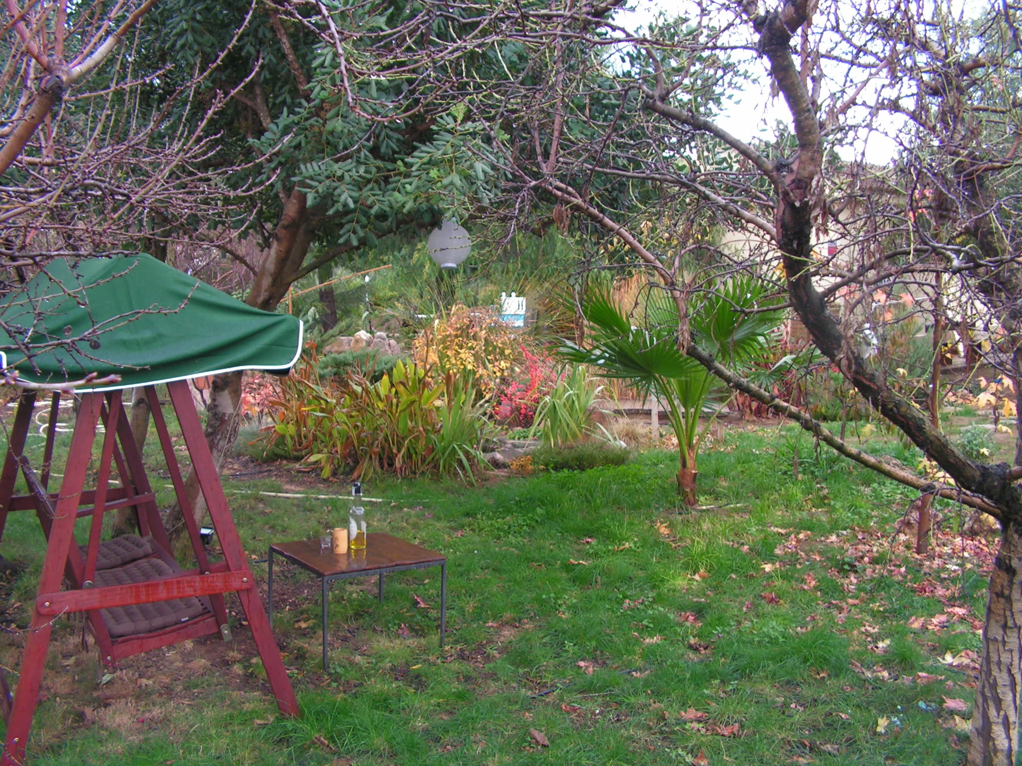 PICT0047.jpg