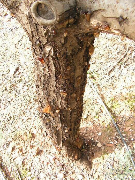 PICT0048.jpg