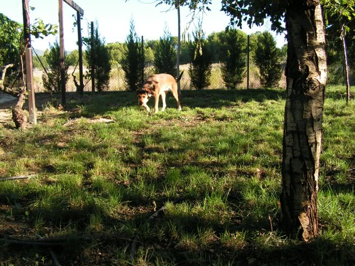 PICT0048.jpg