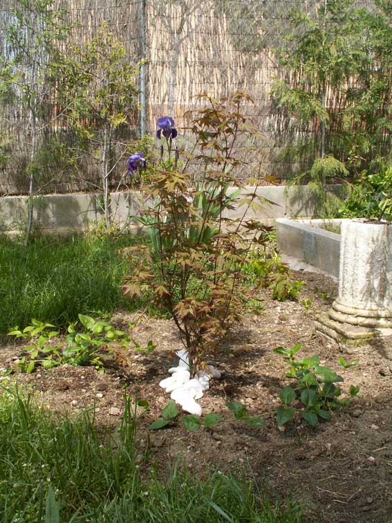 PICT0049.jpg