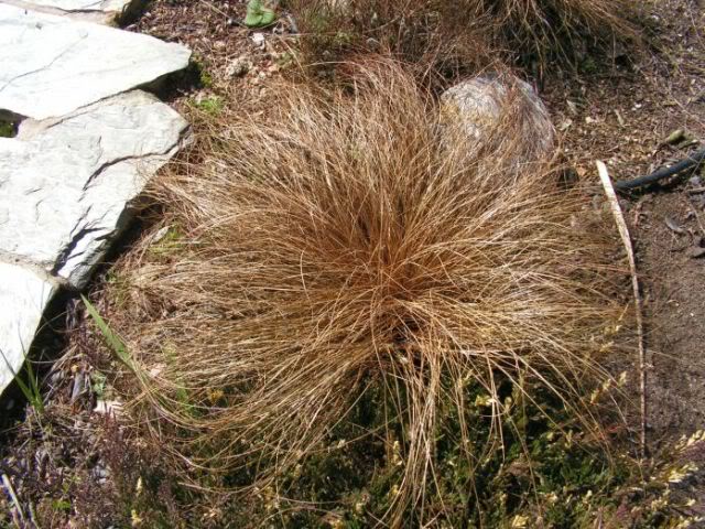 PICT0050.jpg