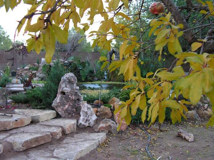 PICT0051.jpg