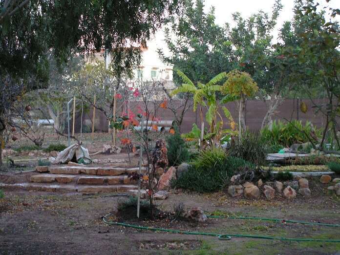 PICT0052.jpg