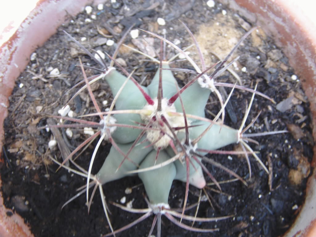 PICT0052.jpg