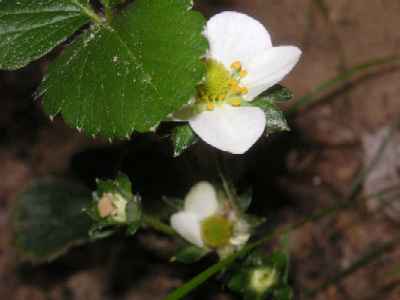 PICT00521.JPG
