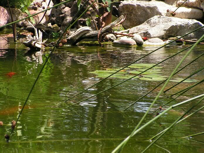 PICT0054.jpg