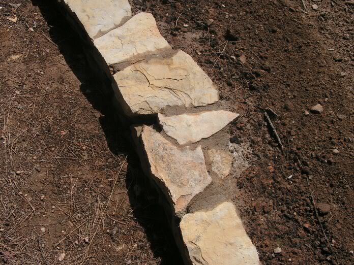 PICT0054.jpg