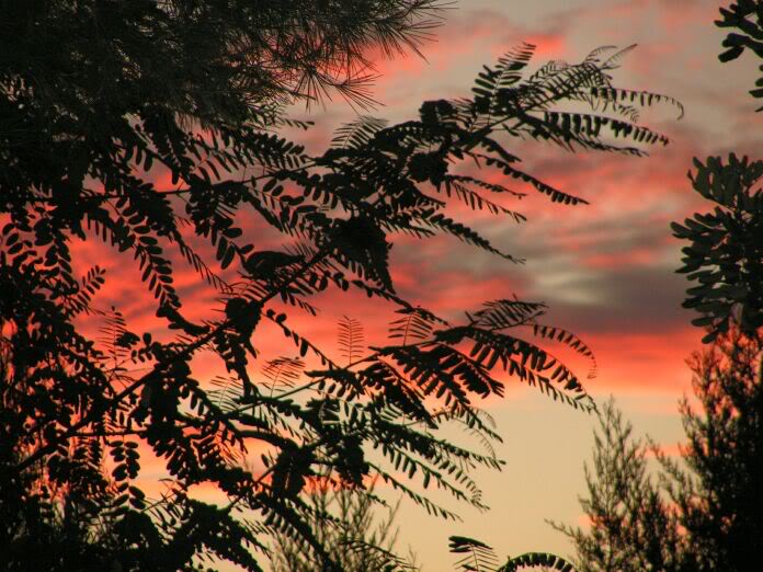 PICT0054.jpg
