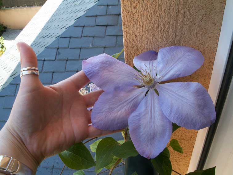 PICT0054.jpg