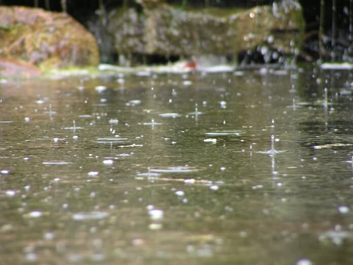 PICT0055.jpg