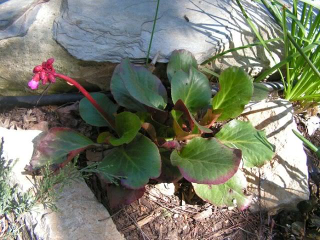 PICT0055.jpg