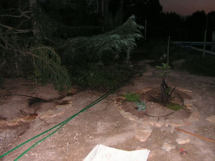 PICT0055.jpg