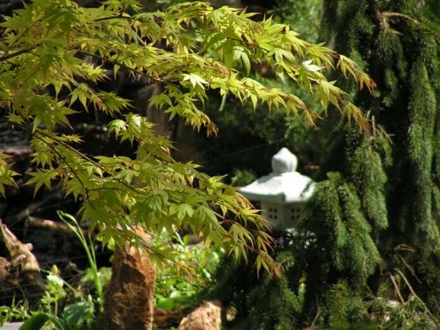 PICT0056.jpg