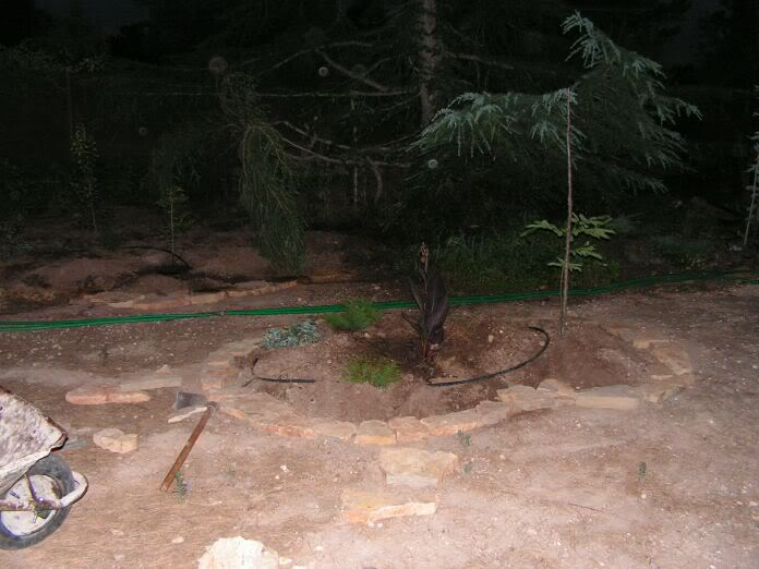 PICT0056.jpg