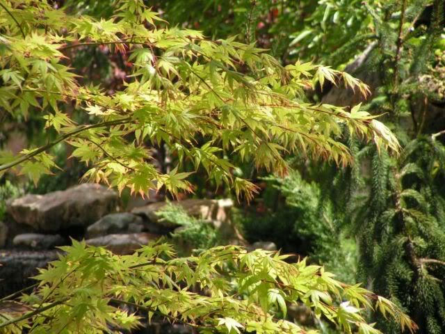 PICT0057.jpg