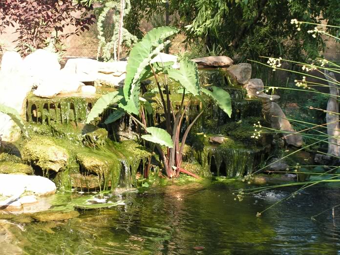 PICT0058.jpg