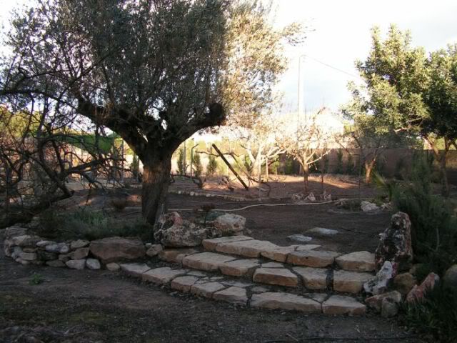 PICT0058.jpg