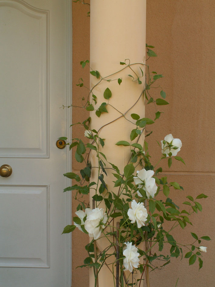 PICT0061.jpg