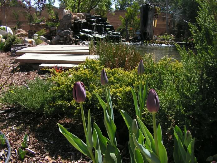 PICT0063.jpg