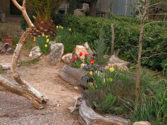 PICT0063.jpg