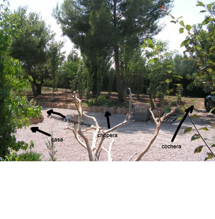 PICT0063.jpg