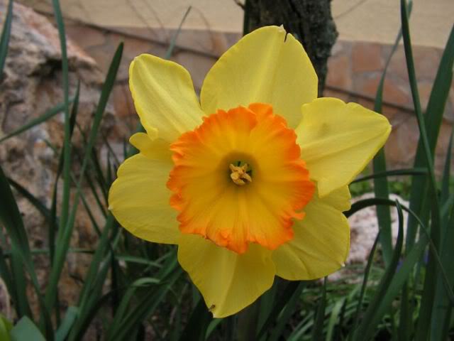 PICT0064.jpg