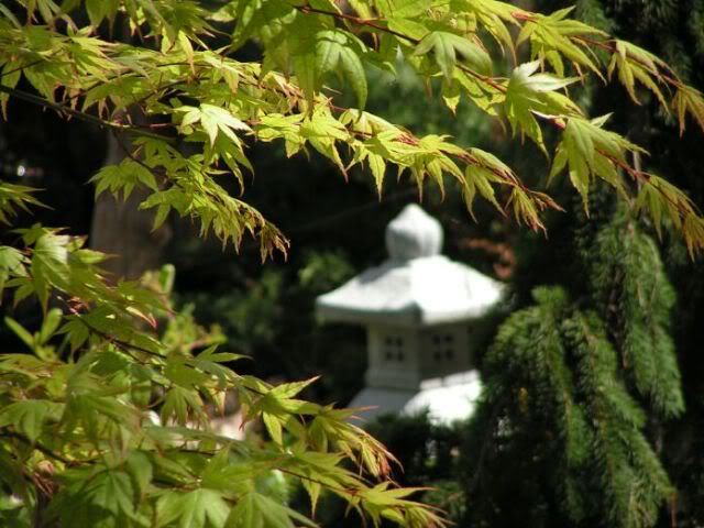 PICT0065.jpg