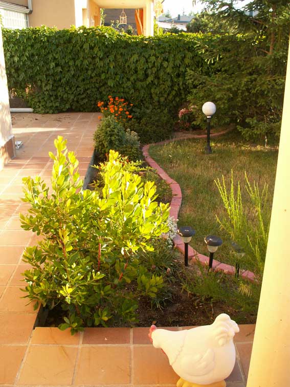 PICT0065.jpg