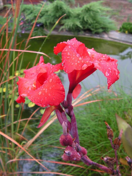 PICT0066.jpg