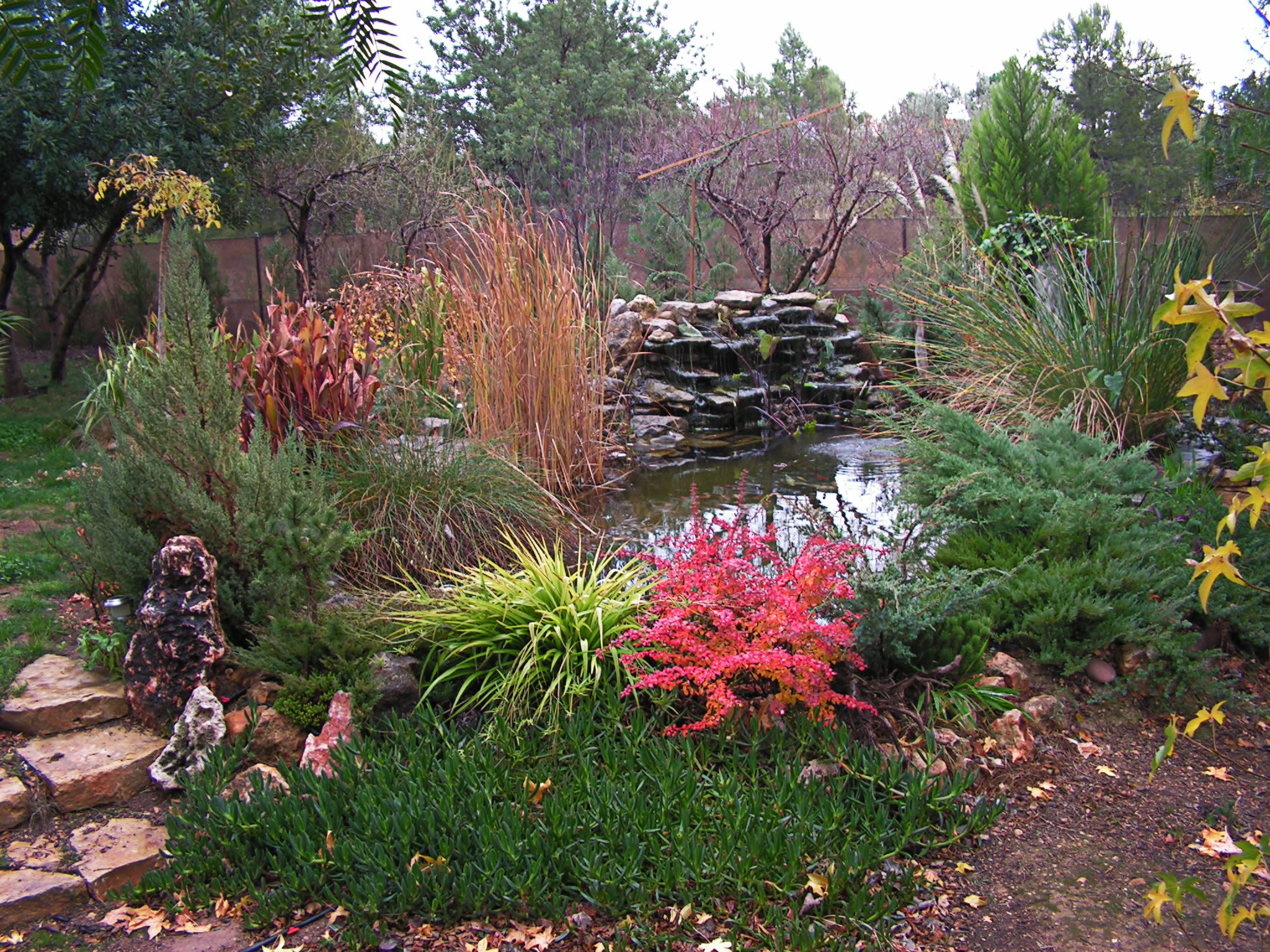PICT0066a.jpg