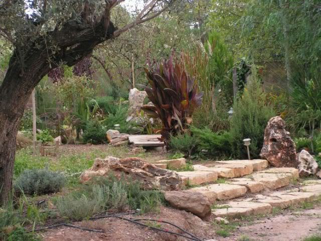 PICT0068.jpg