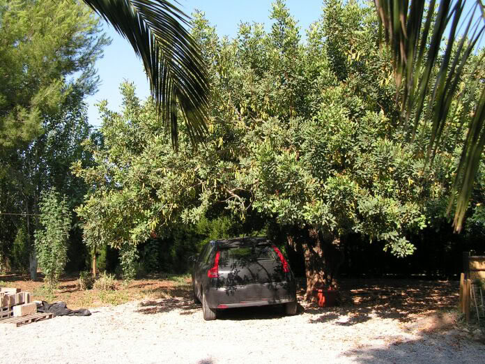 PICT0068.jpg
