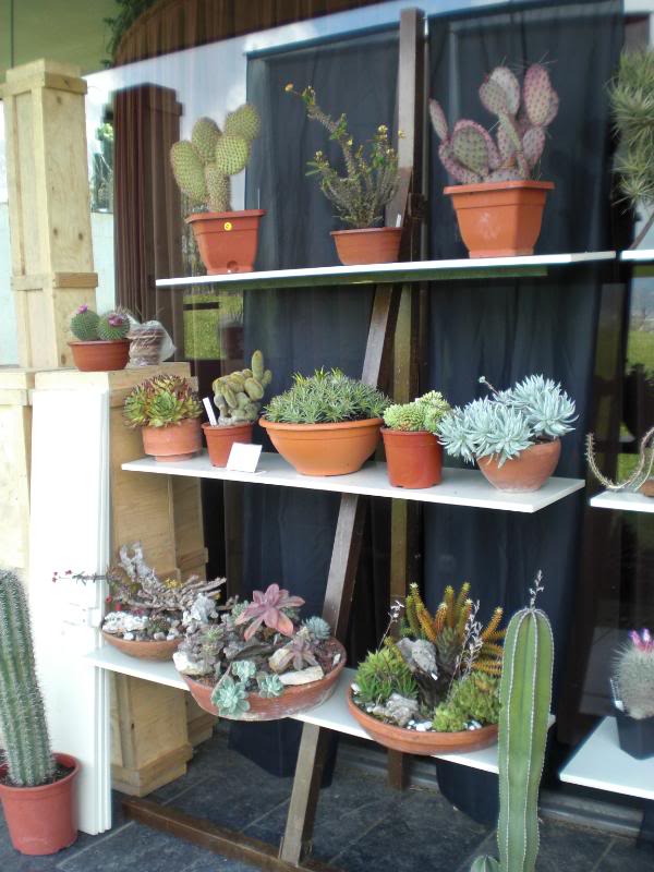 PICT0069.jpg