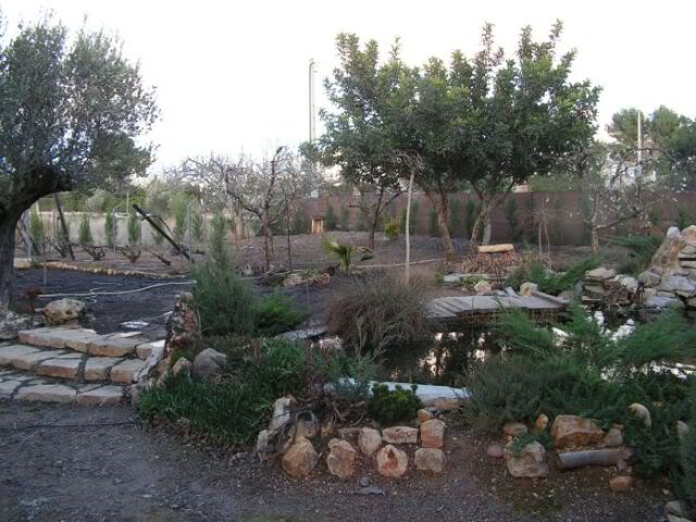 PICT0069.jpg