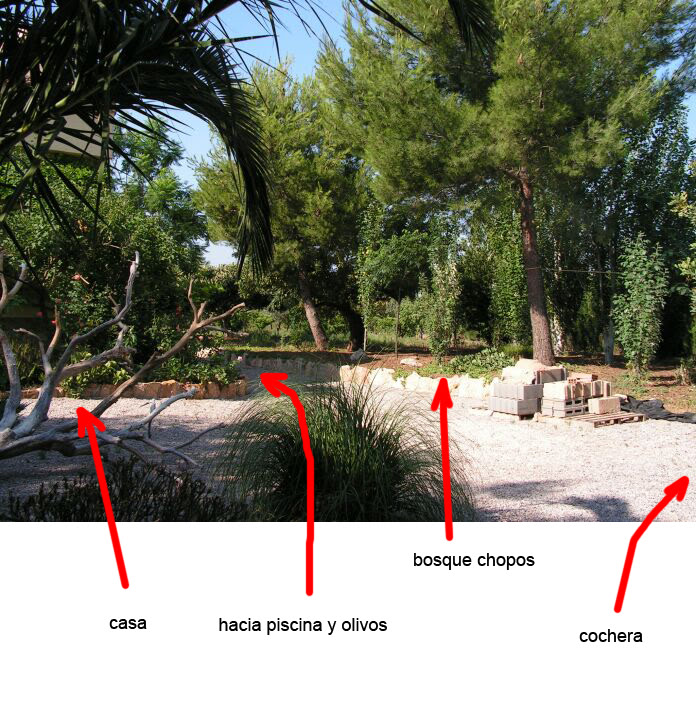 PICT0069.jpg