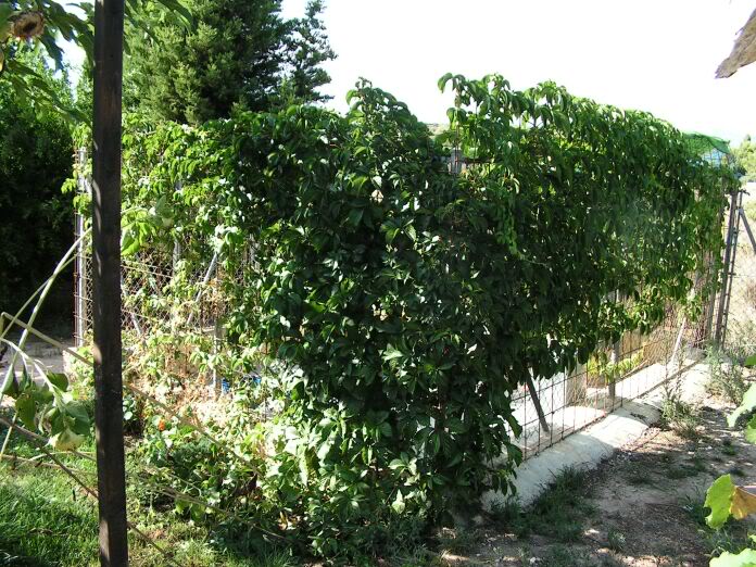 PICT0069.jpg