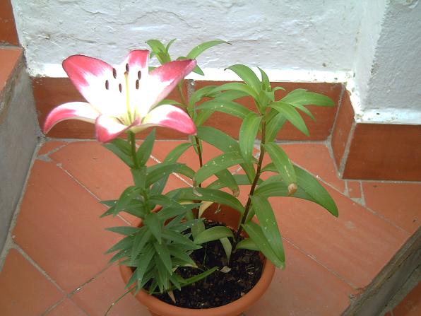 PICT0069.JPG