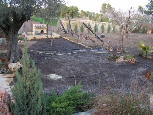 PICT0071.jpg