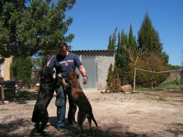 PICT0074.jpg