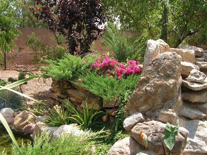 PICT0075.jpg