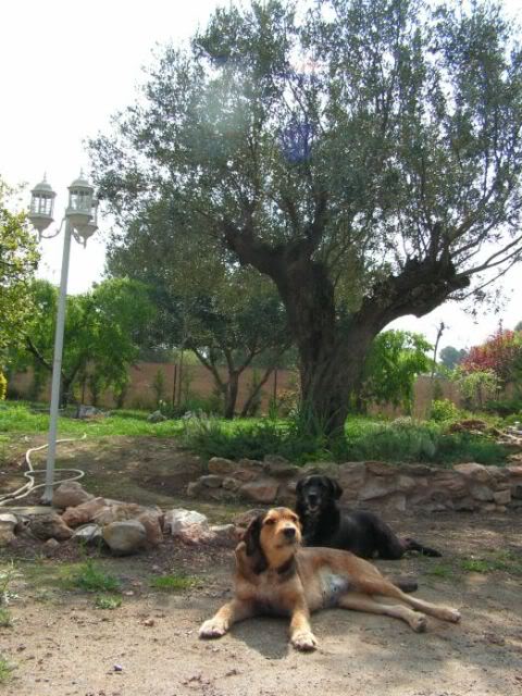PICT0075.jpg